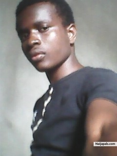 STARBOY - click for next photo