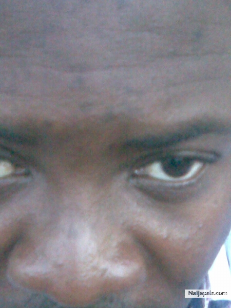 Ajebo - click for next photo