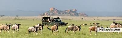 kenye is place to be as a tourist - click for next photo