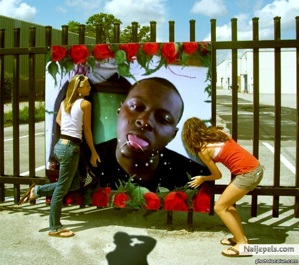 OLUWA ZIZOU - click for next photo