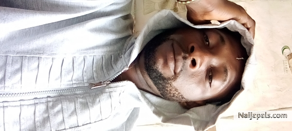 Wfsunnyking ibile - click for next photo