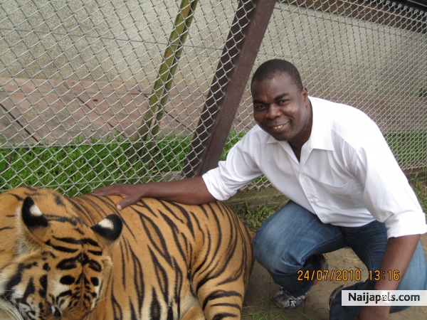 At the tiger; s... - click for next photo