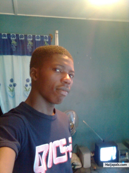 djstupid - click for next photo