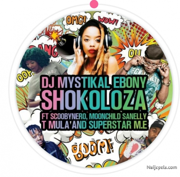 Shokoloza