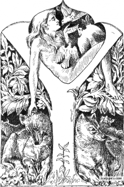 can you see the M ? Y do you think the MOnkey is there ? - click for next photo