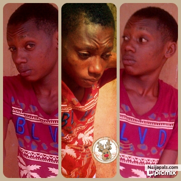  - click for next photo