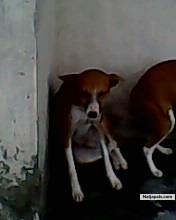  - click for next photo