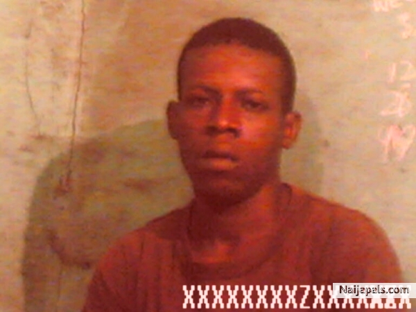  - click for next photo