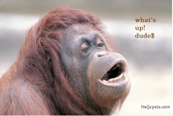 ssup? - click for next photo