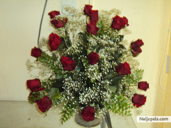  - click for next photo