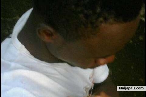  - click for next photo