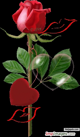 care 4 someone - click for next photo
