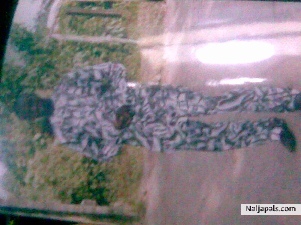  - click for next photo