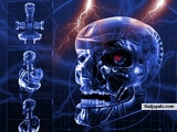 aiye skull - click for next photo