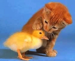 mercy is the best thing in the world - click for next photo