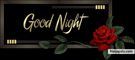 Good night - click for next photo