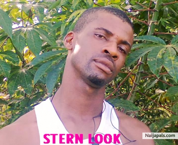 stern look - click for next photo