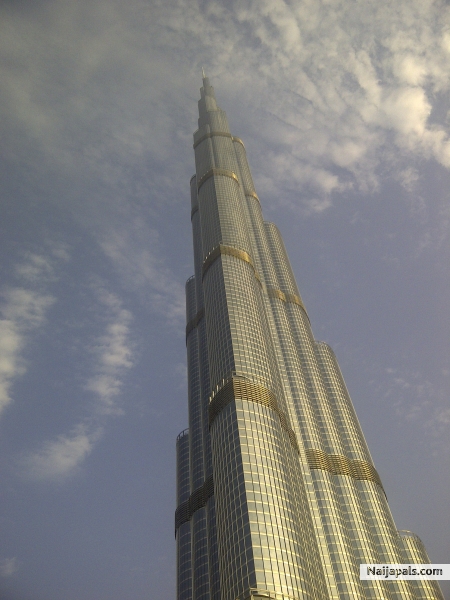 dubia - click for next photo