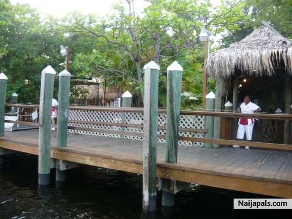 jungle queen dinner cruise...Island... - click for next photo