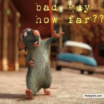 Baaaadt guy! - click for next photo