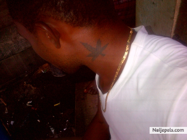 - click for next photo