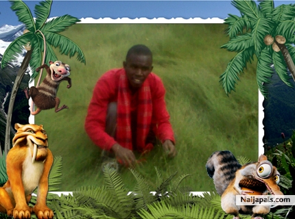  - click for next photo