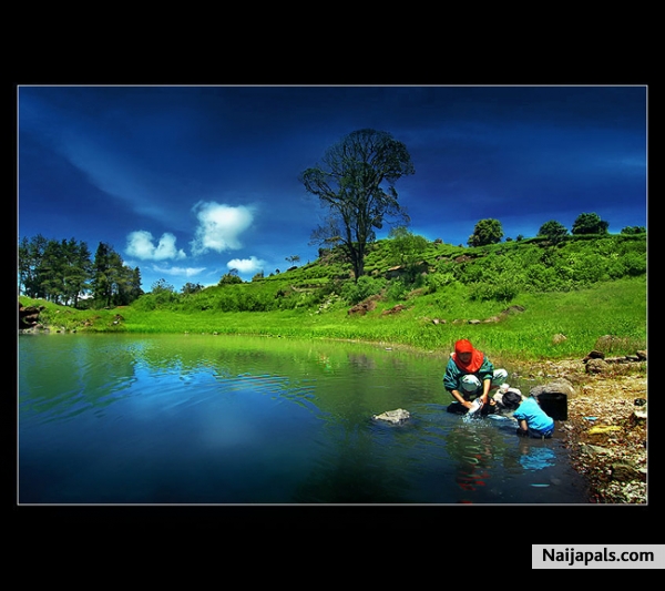 ambiance - click for next photo