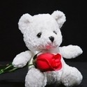 gift of love - click for next photo