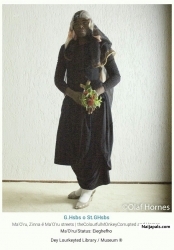  - click for next photo