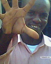  - click for next photo
