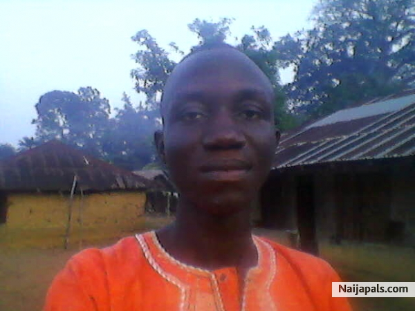 wow - click for next photo