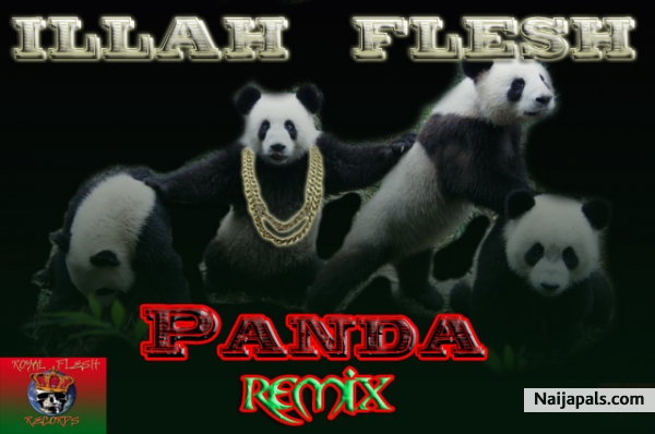 Illah Flesh - Panda [Remix]