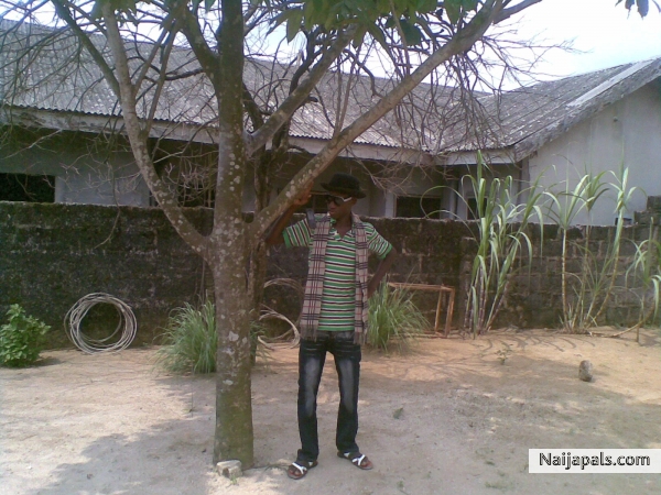 Ugo - click for next photo