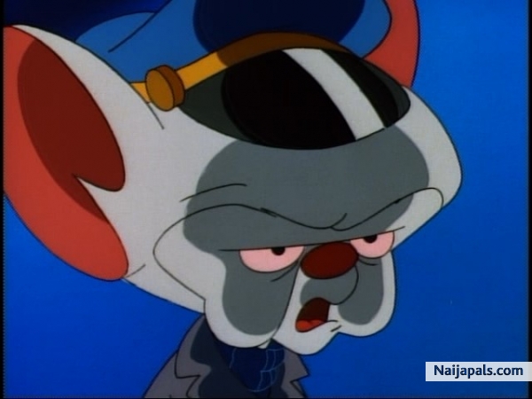 Nauf! - click for next photo