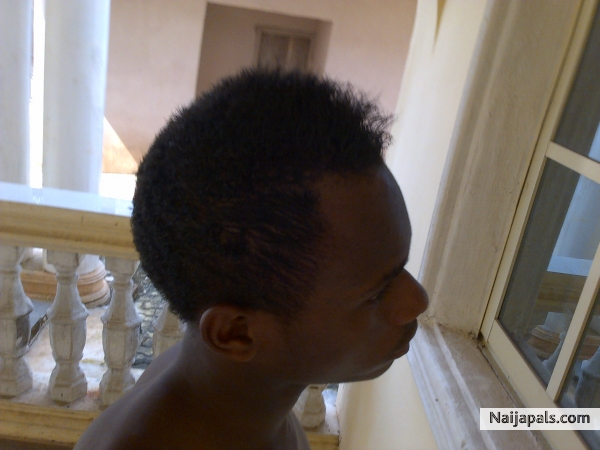 sefie - click for next photo