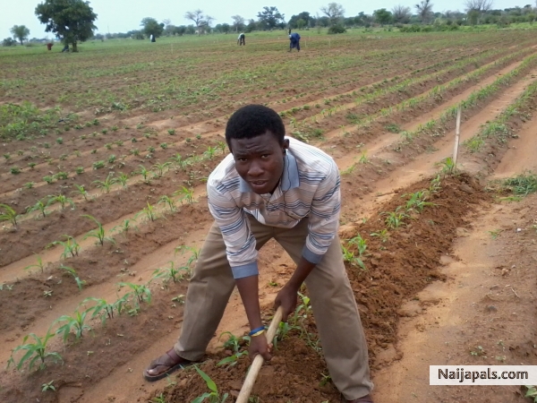 farming is ma pride!!!!!! - click for next photo