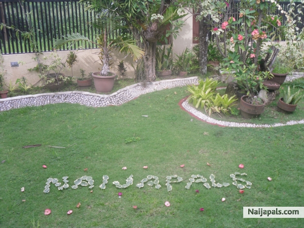 I love NAIJAPALS ..... - click for next photo