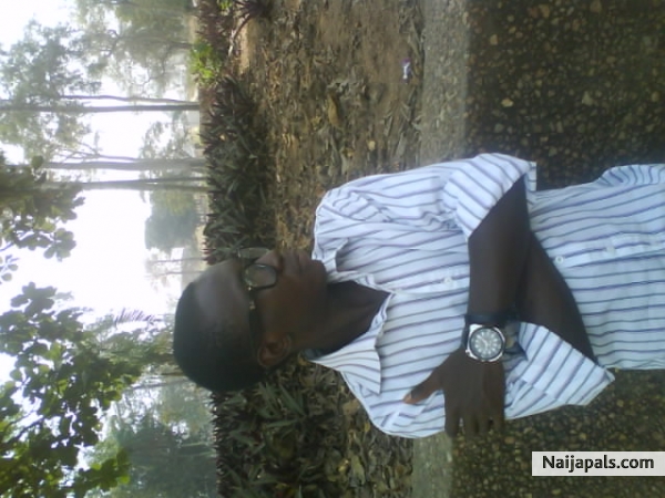 hi - click for next photo