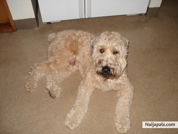 MurPhY' s ChiLLin... - click for next photo
