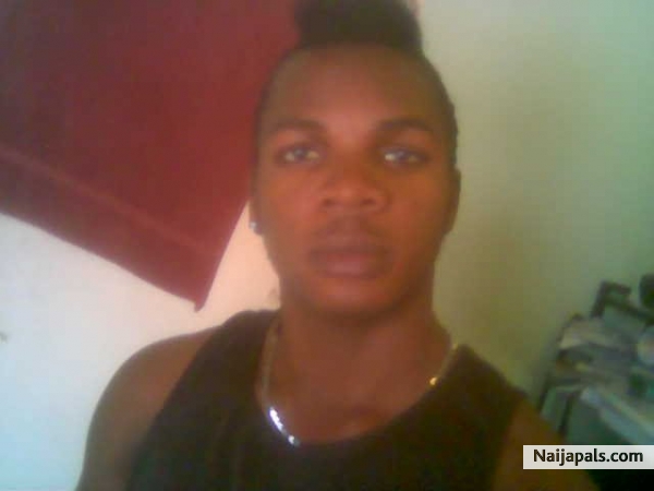 wowo - click for next photo