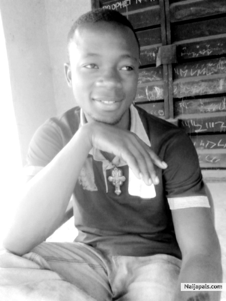 fine - click for next photo