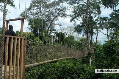 kakume park..in ghana.. - click for next photo
