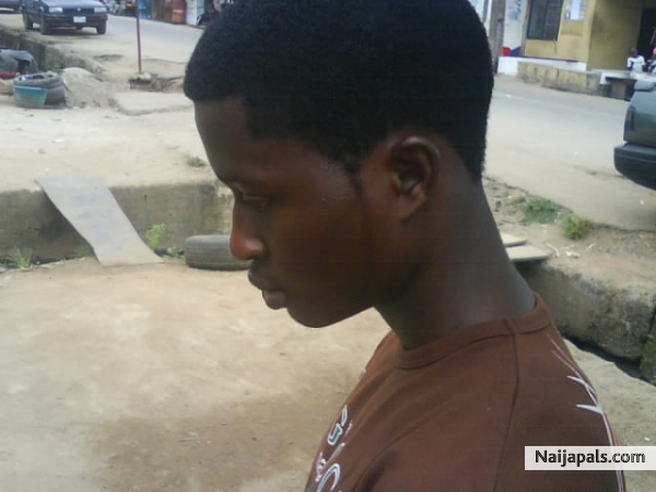  - click for next photo