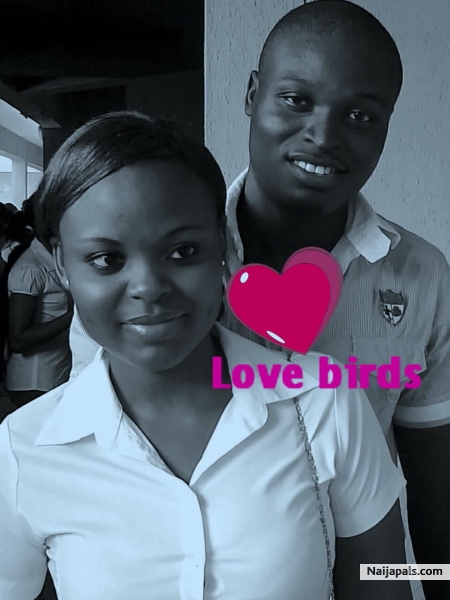 lovely - click for next photo