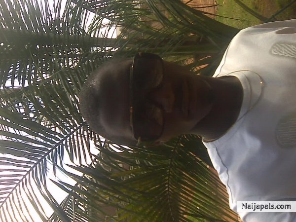 Whyte Palm. - click for next photo