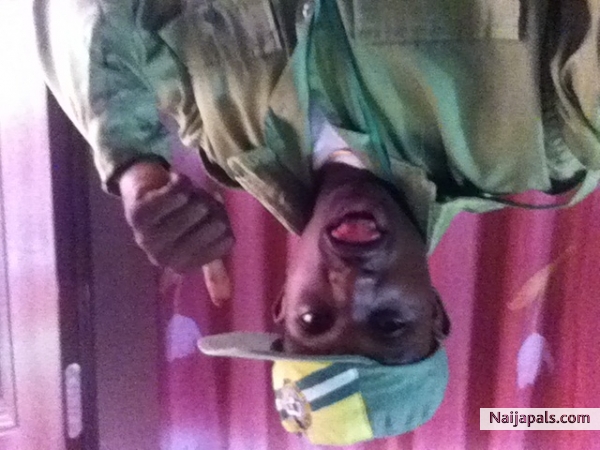 Opes! - click for next photo
