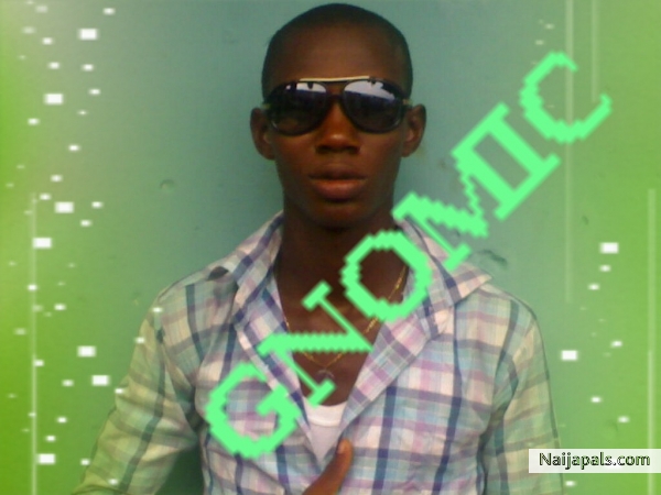 Gnomic - click for next photo