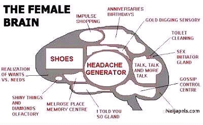 the female brain - click for next photo