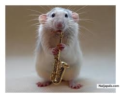 MY POOPY ON SAX - click for next photo