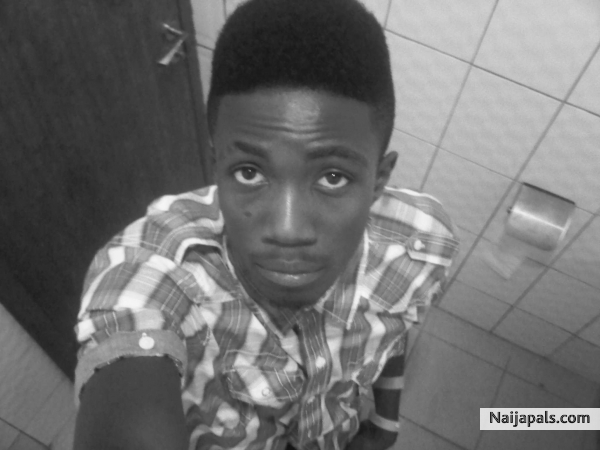 Alfy - click for next photo